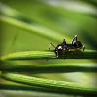 /album/prefunmespe/photolia-a05-jpg/