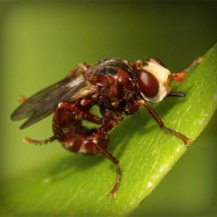 /album/prefunmespe/photolia-a06-jpg/