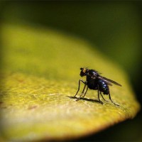/album/prefunmespe/photolia-a07-jpg/