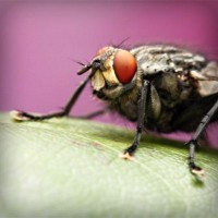 /album/prefunmespe/photolia-a08-jpg/